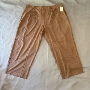 Women’s Brown Business Casual Pants, Size 26, Elastic waist, NWT!!